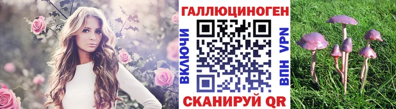 Галлюциногенные грибы Psilocybine cubensis  купить   Лукоянов 